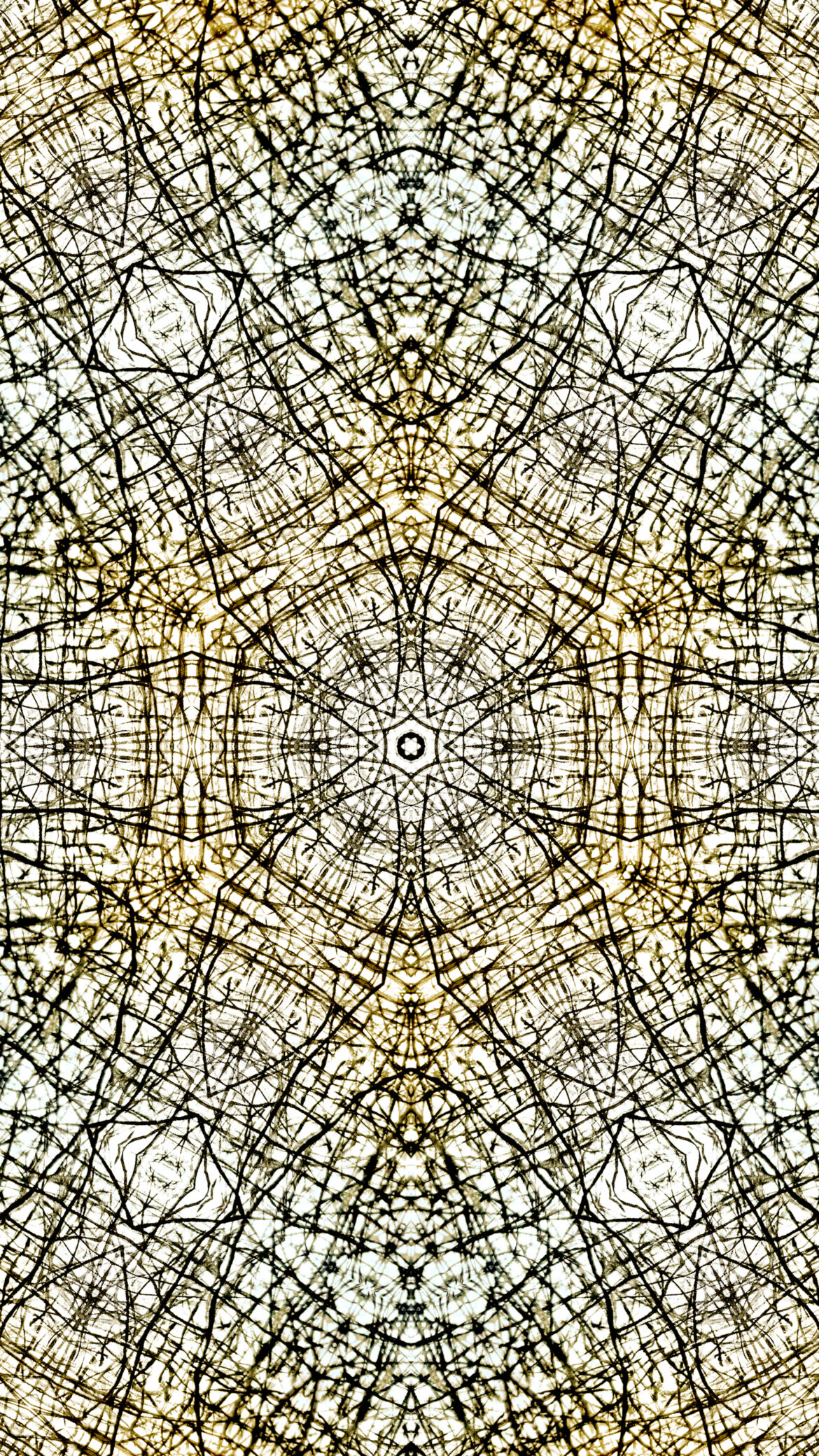 2022 Texture 44